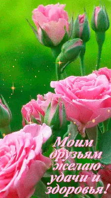 Всем любви, здоровья, удачи отличного настроения и мира, друзья 💞🤟😊  Пишите в коменты СВОИ пожелания, ответы, комментарии‼ 👉… | Instagram