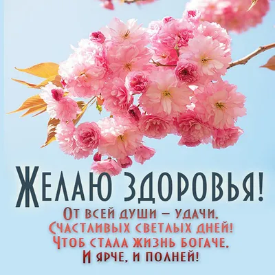 Дорогие клиенты с Новым годом!!! Желаю вам крепкого здоровья, удачи, любви  Вам и Вашим близким. Хорошего настроения и исполнения самых… | Instagram