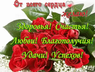 С днём учителя!🎁🎂🍾💐💝 #сднемучителя #деньучителя #5октября #здоров... |  TikTok