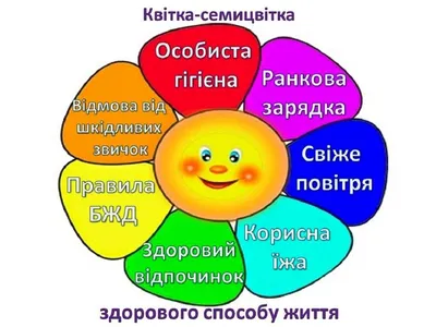 Це база. Шпаргалка про здоровий спосіб життя, написана українкою для  українців – Трибуна – новини Сум