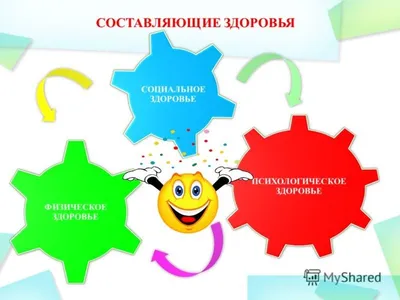 Муниципальное автономное общеобразовательное учреждение "Средняя школа №  149" (МАОУ СШ №149) » Здоровый образ жизни — это модно!