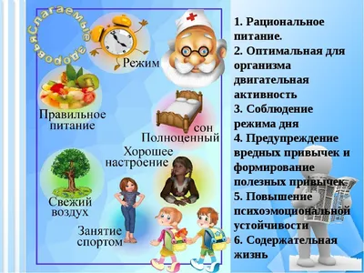 В городе Белгороде стартовала всероссийская акция «Здоровый образ жизни –  путь к успеху» — Управление образования администрации города Белгорода