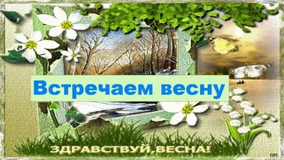 МБДОУ "Детский сад №8 "Гнёздышко", г.Бахчисарай. Уголок природы "Февраль"