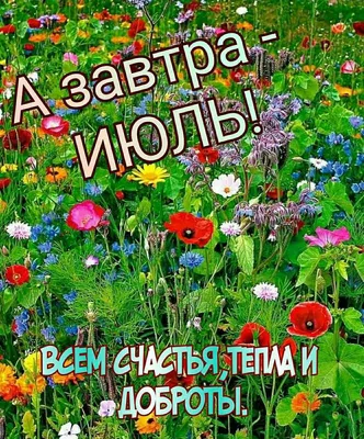 ИЮЛЬ! 🍒💐💜🌿🍒 Всё будет хорошо! | Привет, июль, Открытки, Доброе утро