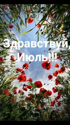 УХОДИТ ИЮЛЬ ДОМОЙ , А МЫ ВСТРЕЧАЕМ АВГУСТ .......... ~ Открытка (плейкаст)