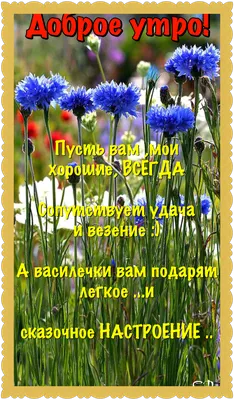 Здравствуй, лето!" | МБУК "Гуманитарный центр - библиотека имени семьи  Полевых"