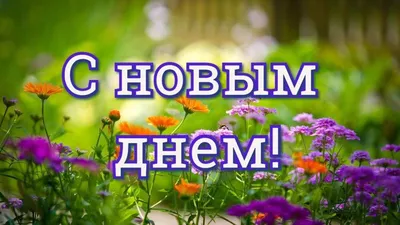 Ну, здравствуй, новый день! | Пикабу