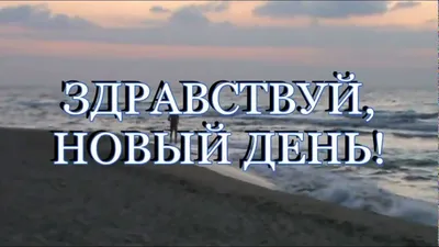 Здравствуй, новый день! Плюшевый мишка – заказать на Ярмарке Мастеров –  LJJEKBY | Мишки Тедди, Самара