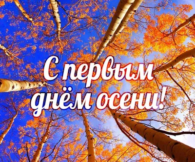 ЗДРАВСТВУЙ ОСЕНЬ autumn Доброе утро С ПЕРВЫМ ДНЁМ ОСЕНИ Красивое  поздравление Лучшая видео открытка - YouTube