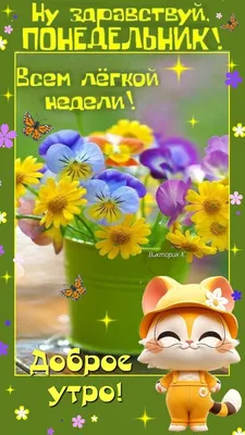 Ну здравствуй Понедельник! Доброе утро! Всем лёгкой недели!🌼🌞☘️🌤️ |  Летние фотографии природы, Доброе утро, Летние фотографии