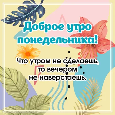 Здравствуй, понедельник. Доброе утро, народ!: erofotos — LiveJournal