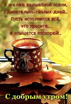 Пин от пользователя Светлана на доске Ну, здравствуй, Осень... | Доброе утро,  Счастливые картинки, Открытки