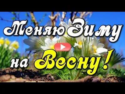 Здравствуй, Весна! — BOOKитека