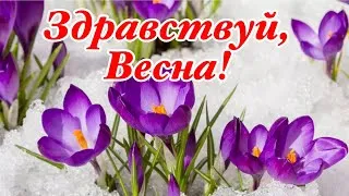 Открытка - здравствуй, весна, всем счастья, солнца и цветов