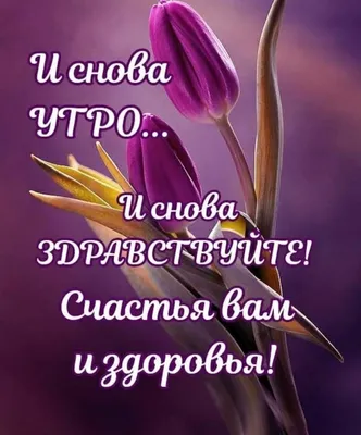 всё обо всём - Здравствуйте друзья, Доброе утро, Как Вам сегодня спалось.!?  Чашечку вкусного кофе, Кто Вам сегодня принёс.!? Кто пожелал Вам здоровья,  И долго Жить на земле.!? Кто признавался в Любви