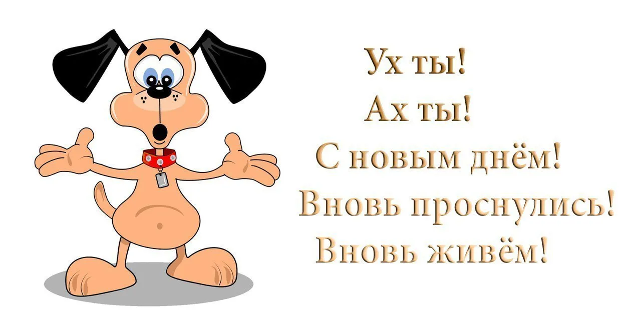 Я не рано здравствуйте. И снова Здравствуйте открытки. И снова Здравствуйте открытки прикольные. С новым днем смешная. Прикольные открытки с надписями.