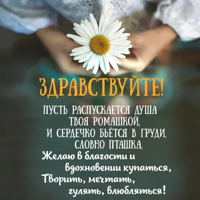 Здравствуйте, мы говорим вам, здравствуйте! Всем родным, знакомым и  друзьям. Будьте счастливы, и просто, здравству… | Доброе утро, Открытки,  Счастливые картинки