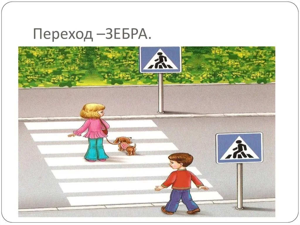Зебра переходя дорогу. Пешеходный переход. Пешеходный переход картинка для детей. Нарисовать пешеходный переход. Зебра переход.