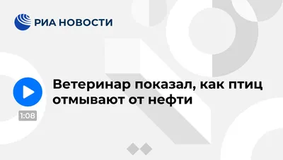 В Азовском море возле Бердянска разлилась нефть – новости Бердянск |  ЭкоПолитика