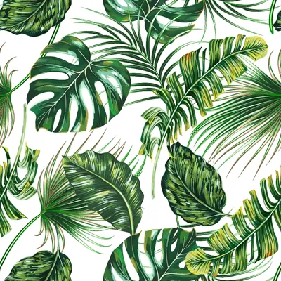 Обои зеленые листья тропические | Зеленые картины, Зеленые фоны, Обои