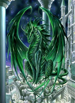 Красивый зеленый Дракон. Картинка. | Dragon artwork fantasy, Dragon  pictures, Dragon wallpaper iphone