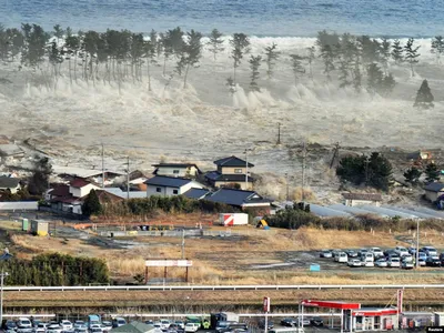Мощное землетрясение в Японии, пошло цунами. Чего ждать Приморью