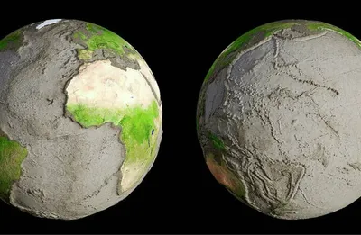 Как выглядит рельеф океанского дна Земли без воды — 3D-модель  планеты.(+видео) - Общение на любые темы - Усадьба Урсы
