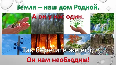 Земля наш общий дом!»