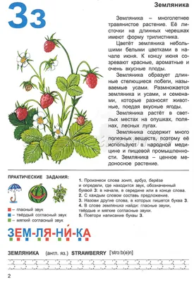 Тетрадь для общения и развития детей "Лесные ягоды" СФ-Т-21 в  Москве|