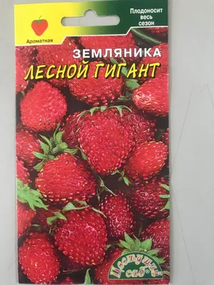 Земляника Лесной гигант - купить в Москве по низкой цене в  интернет-магазине Мир семян на сайте  с доставкой почтой России ,  службами доставки Boxberry , Сдэк