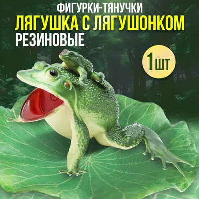 Пурпурная лягушка: несколько фактов о живом ископаемом, дожившем до наших  дней | Пикабу