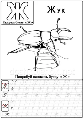 Буква Ж прописная и маленькая, учим с детьми