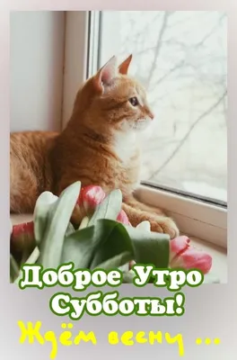 Ждём весну! (Валентина Вежливцева) / Стихи.ру