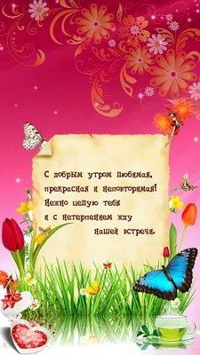 Доброе утро - открытка с пожеланиями. | Открытки, Идеи для юбилея, С днем  рождения