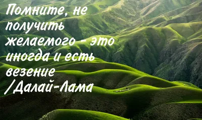 Исполнение желаний за один день | О жизни и природе вещей | Дзен