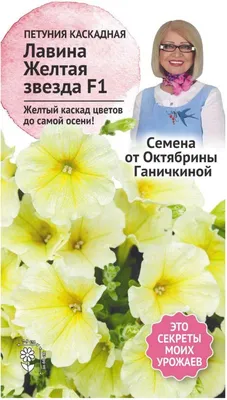 Семена петуния Лавина Желтая звезда Семена от Октябрины Ганичкиной 1 г -  купить в Москве, цены на Мегамаркет