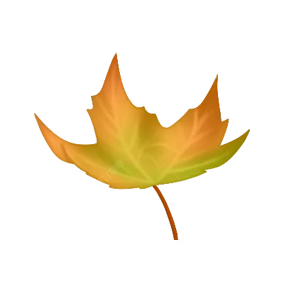 Осенние листья разные шаблоны - 60 фото