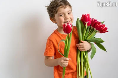 Цветы которые дарят на 8 марта: список лучших
