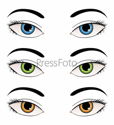 Женские глаза clip  Royalty Free Stock SVG Vector and Clip Art