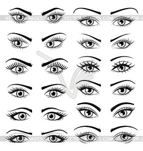 Установить Открытые Красивые женские глаза - иллюстрация в векторе