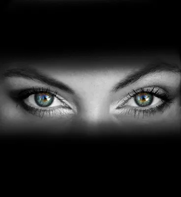 Handdrawn женские глаза привлекательные женские глаза | Премиум векторы