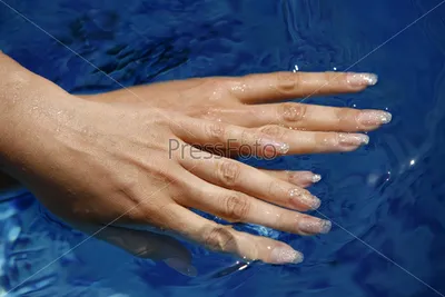 Фото Женские руки, более 79 000 качественных бесплатных стоковых фото