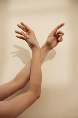 Красивые женские руки на белом фоне :: Стоковая фотография :: Pixel-Shot  Studio