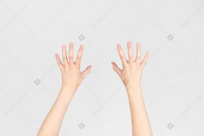 Нежные женские руки в центре внимания | Премиум Фото | Руки, Фотография рук,  Фотографии рук