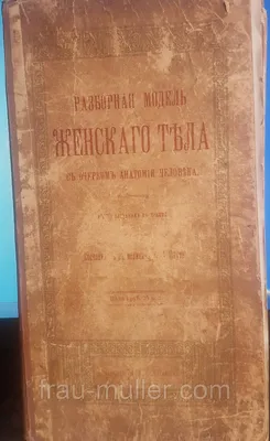 Мультяшный рисованной иллюстрации женского органа PNG , цветок, здоровье,  наука PNG картинки и пнг PSD рисунок для бесплатной загрузки