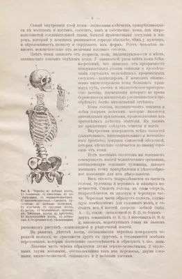 Купить Ручная безопасная сменная головка, бритва для женского тела, набор  лезвий для удаления волос на теле, женское бритье, Т-образная накладка для  удаления волос, сменная головка | Joom