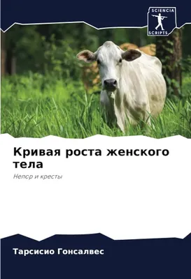 Кривая роста женского тела: Нелор и кресты (Russian Edition): Гонсалвес,  Тарсисио: 9786206096559: : Books