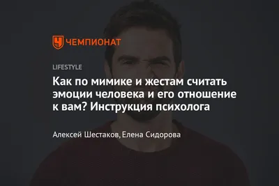 Язык мимики и жестов: как читать эмоции человека в процессе общения?  Инструкция психолога - Чемпионат