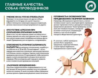 AES Dog Кликер для дрессировки собак