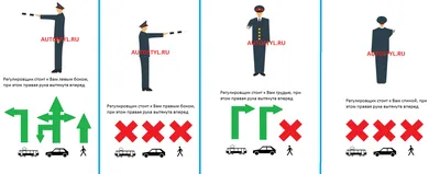 5. СИГНАЛЫ СВЕТОФОРА И РЕГУЛИРОВЩИКА - Правила дорожного движения  Республики Казахстан